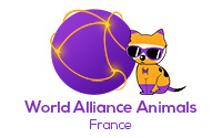 World Alliance Animals France